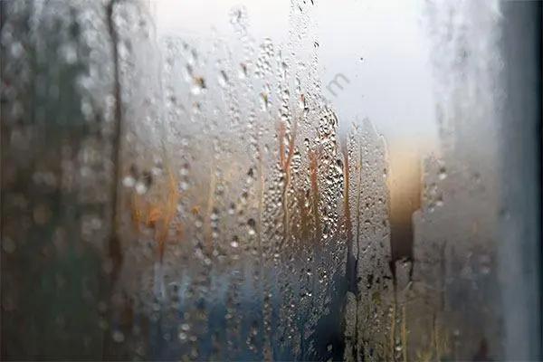梅雨？霉雨？何不霉？